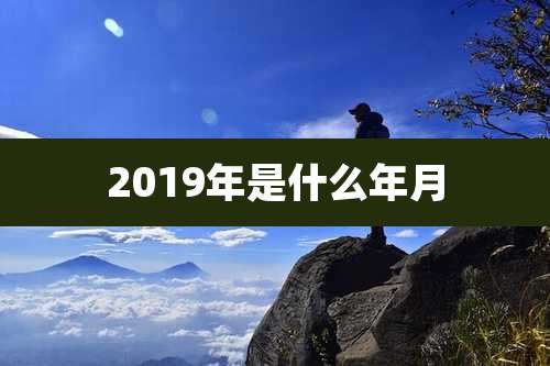 2019年是什么年月