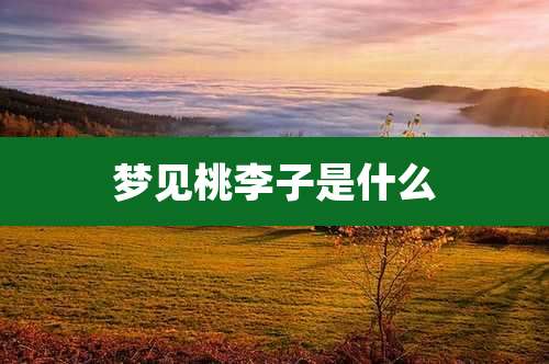 梦见桃李子是什么