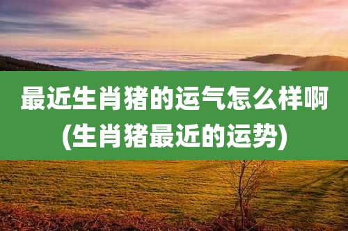 最近生肖猪的运气怎么样啊(生肖猪最近的运势)