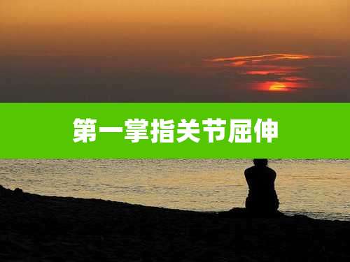 第一掌指关节屈伸