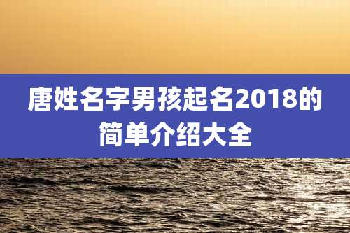 唐姓名字男孩起名2018的简单介绍大全