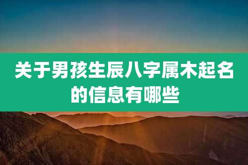 关于男孩生辰八字属木起名的信息有哪些