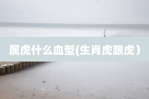 属虎什么血型(生肖虎跟虎）