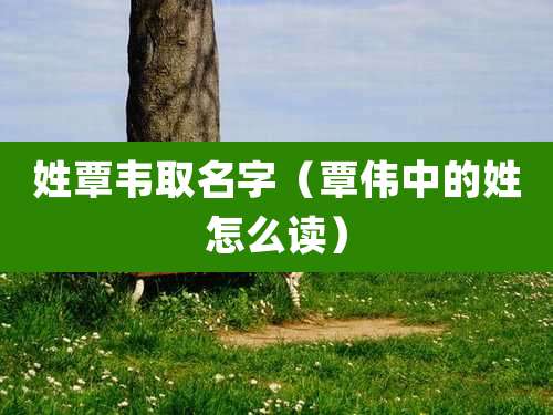 姓覃韦取名字（覃伟中的姓怎么读）