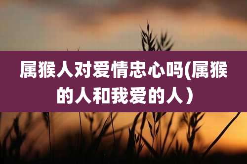 属猴人对爱情忠心吗(属猴的人和我爱的人）
