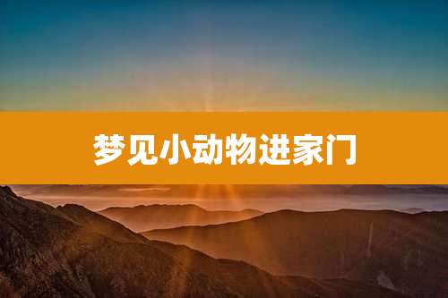 梦见小动物进家门