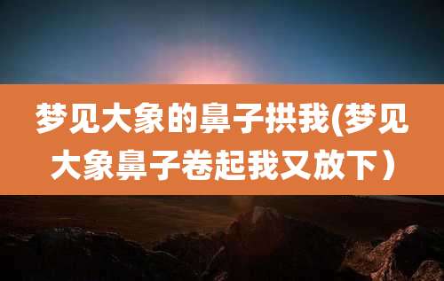 梦见大象的鼻子拱我(梦见大象鼻子卷起我又放下）