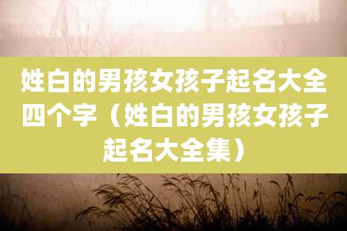 姓白的男孩女孩子起名大全四个字（姓白的男孩女孩子起名大全集）