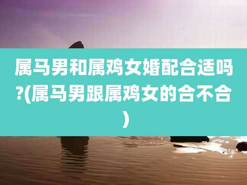 属马男和属鸡女婚配合适吗?(属马男跟属鸡女的合不合)