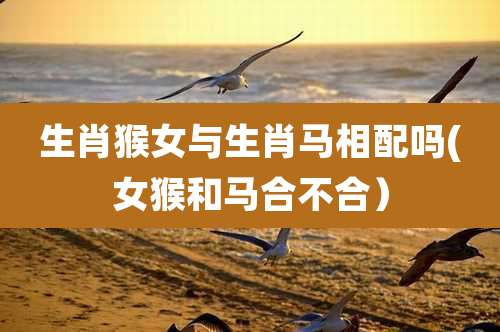 生肖猴女与生肖马相配吗(女猴和马合不合）