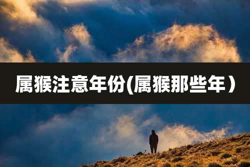 属猴注意年份(属猴那些年)