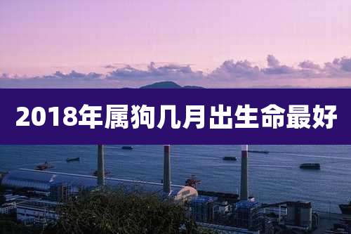 2018年属狗几月出生命最好