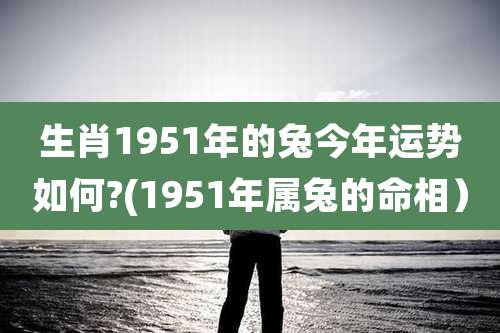 生肖1951年的兔今年运势如何?(1951年属兔的命相)