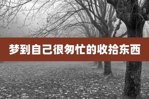 梦到自己很匆忙的收拾东西