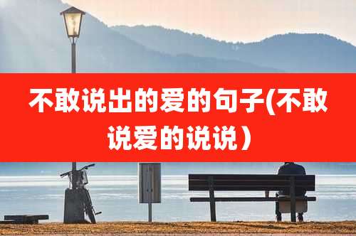 不敢说出的爱的句子(不敢说爱的说说)