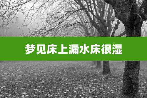 梦见床上漏水床很湿