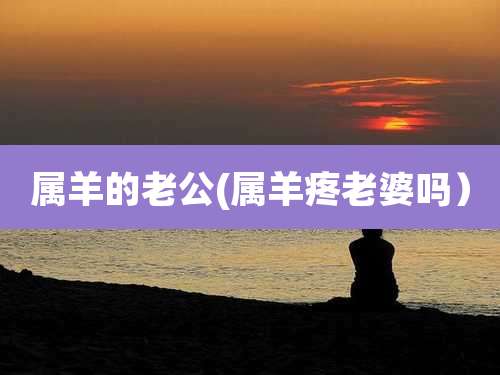 属羊的老公(属羊疼老婆吗）