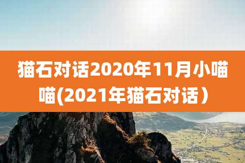 猫石对话2020年11月小喵喵(2021年猫石对话）