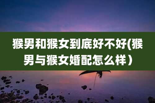 猴男和猴女到底好不好(猴男与猴女婚配怎么样)