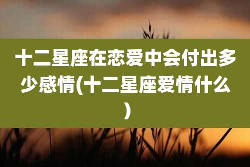 十二星座在恋爱中会付出多少感情(十二星座爱情什么)