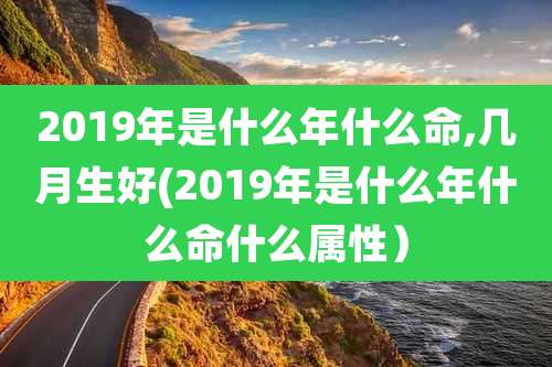 2019年是什么年什么命,几月生好(2019年是什么年什么命什么属性)