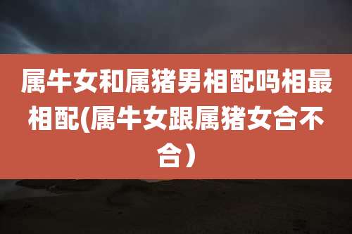属牛女和属猪男相配吗相最相配(属牛女跟属猪女合不合）