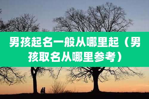 男孩起名一般从哪里起（男孩取名从哪里参考）