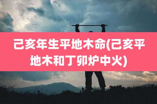 己亥年生平地木命(己亥平地木和丁卯炉中火)