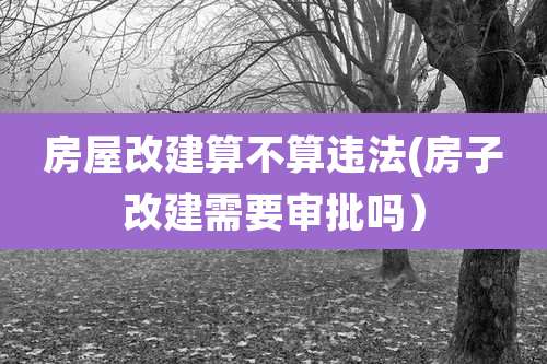 房屋改建算不算违法(房子改建需要审批吗）