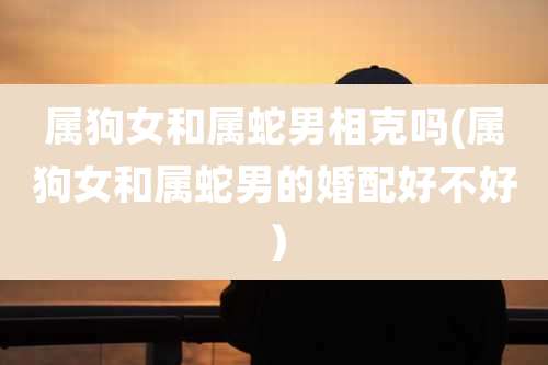 属狗女和属蛇男相克吗(属狗女和属蛇男的婚配好不好)