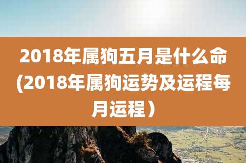 2018年属狗五月是什么命(2018年属狗运势及运程每月运程)