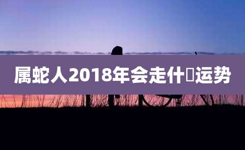 属蛇人2018年会走什麼运势