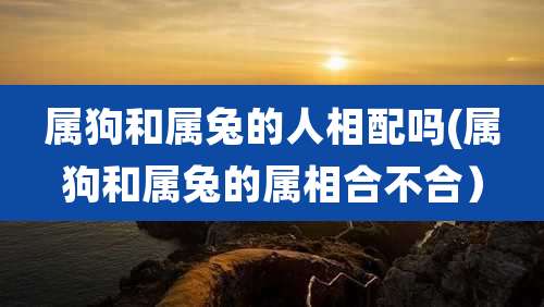 属狗和属兔的人相配吗(属狗和属兔的属相合不合)