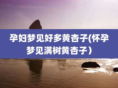 孕妇梦见好多黄杏子(怀孕梦见满树黄杏子）