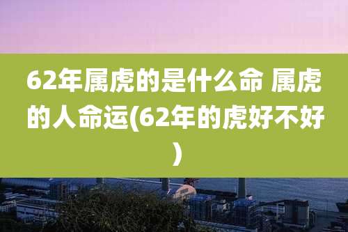 62年属虎的是什么命 属虎的人命运(62年的虎好不好)