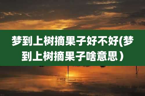 梦到上树摘果子好不好(梦到上树摘果子啥意思）