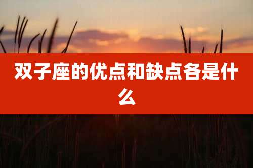 双子座的优点和缺点各是什么