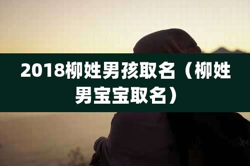 2018柳姓男孩取名（柳姓男宝宝取名）