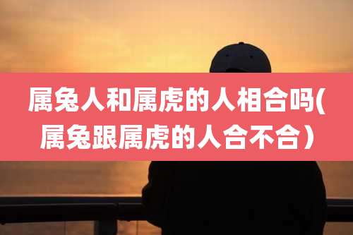 属兔人和属虎的人相合吗(属兔跟属虎的人合不合)