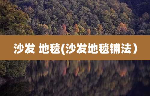 沙发 地毯(沙发地毯铺法）