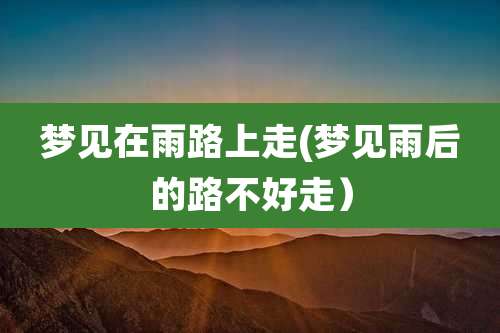 梦见在雨路上走(梦见雨后的路不好走)