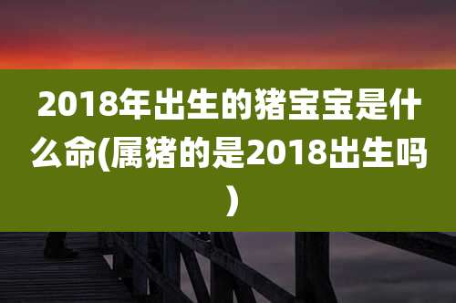 2018年出生的猪宝宝是什么命(属猪的是2018出生吗)