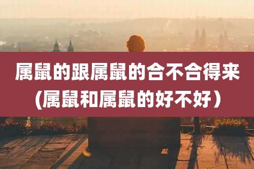 属鼠的跟属鼠的合不合得来(属鼠和属鼠的好不好)