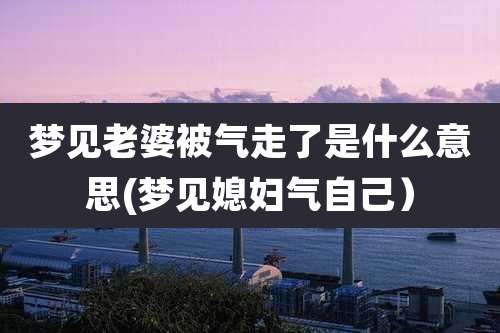 梦见老婆被气走了是什么意思(梦见媳妇气自己)