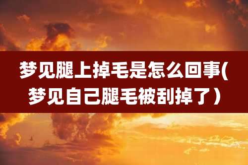 梦见腿上掉毛是怎么回事(梦见自己腿毛被刮掉了）