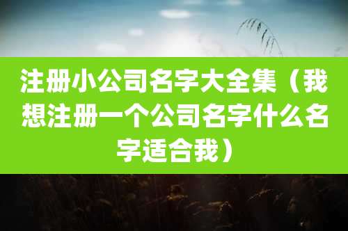 注册小公司名字大全集(我想注册一个公司名字什么名字适合我)