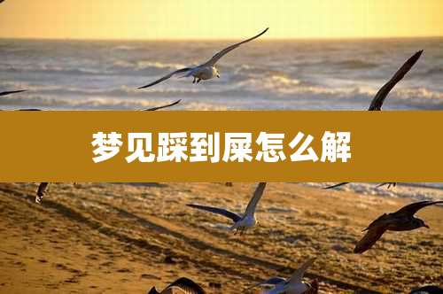 梦见踩到屎怎么解