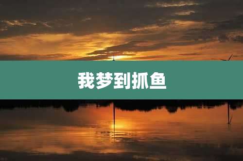 我梦到抓鱼