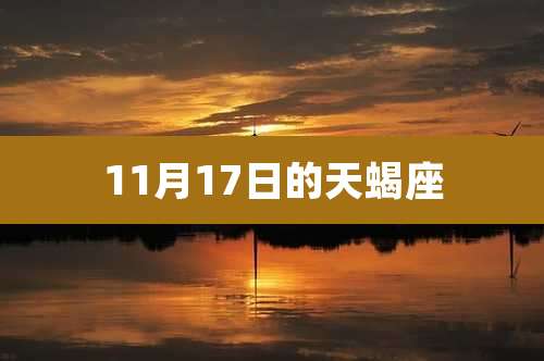 11月17日的天蝎座