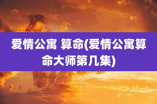 爱情公寓 算命(爱情公寓算命大师第几集)